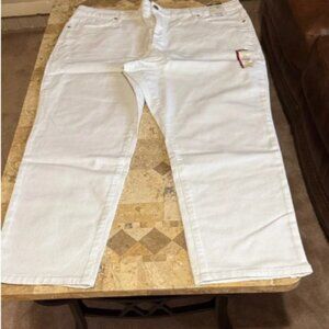 Terra & Sky Cream Denim Pants